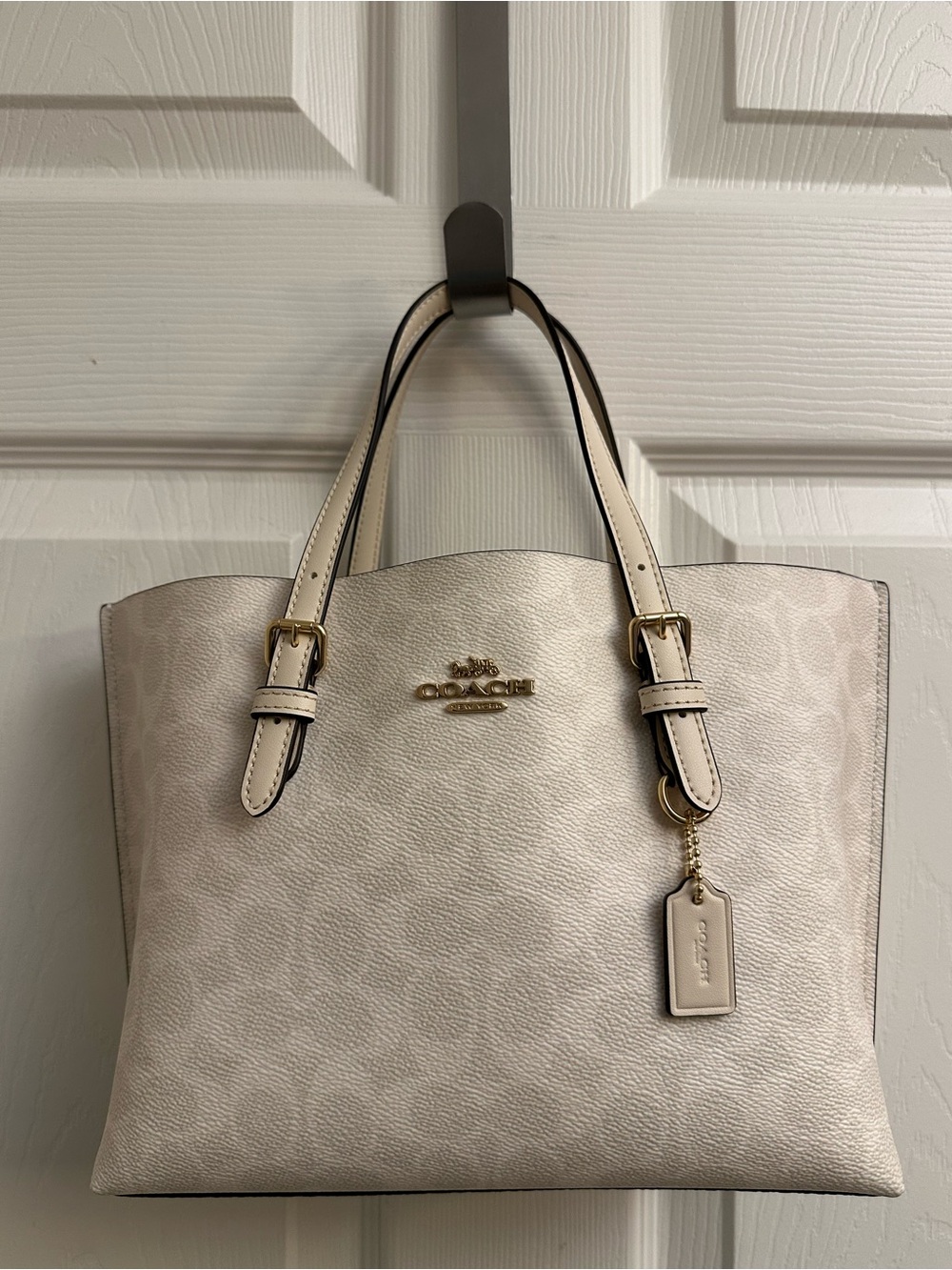 Coach Chalk Signature Mollie Tote Bag 25